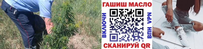 продажа наркотиков  Сургут  ТГК концентрат 
