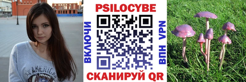 Псилоцибиновые грибы Psilocybine cubensis  Сургут 