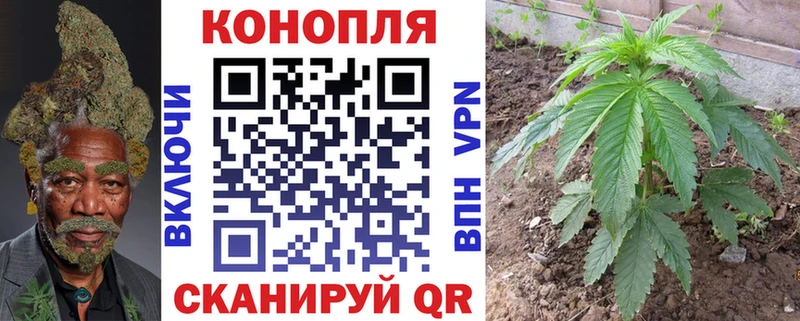 Марихуана конопля Сургут